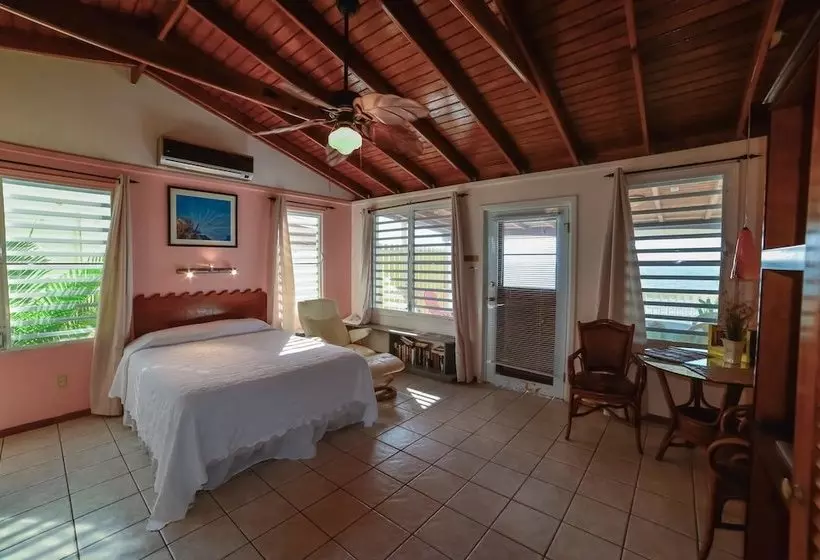 Fotos del hotel Lemontree Oceanfront Cottages:  12