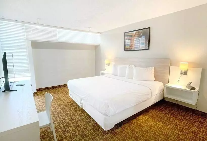 Fotos del hotel Máre St. Clair:  14