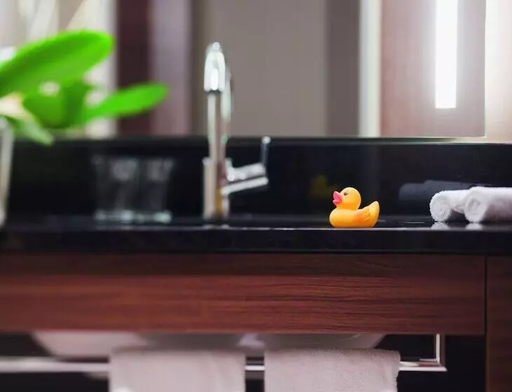 Fotos del hotel Mövenpick  & Casino Geneva:  20