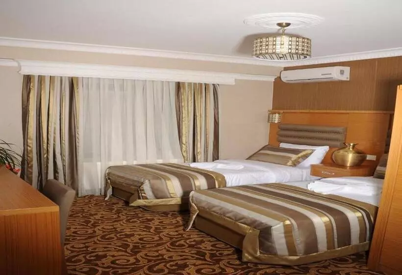 Fotos del hotel Alfa:  9