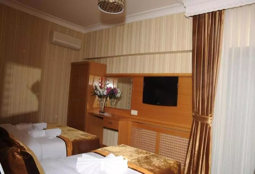 Fotos del hotel Alfa:  7