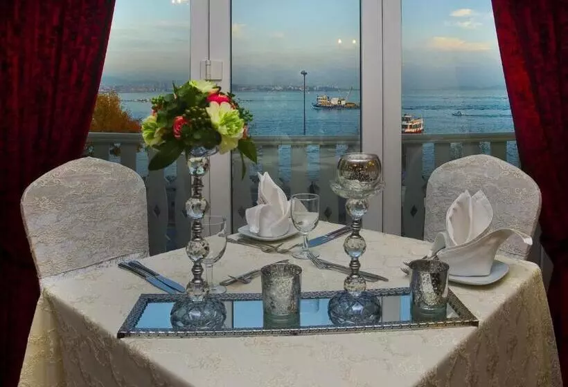 Fotos del hotel Radisson  Istanbul Sultanahmet:  22