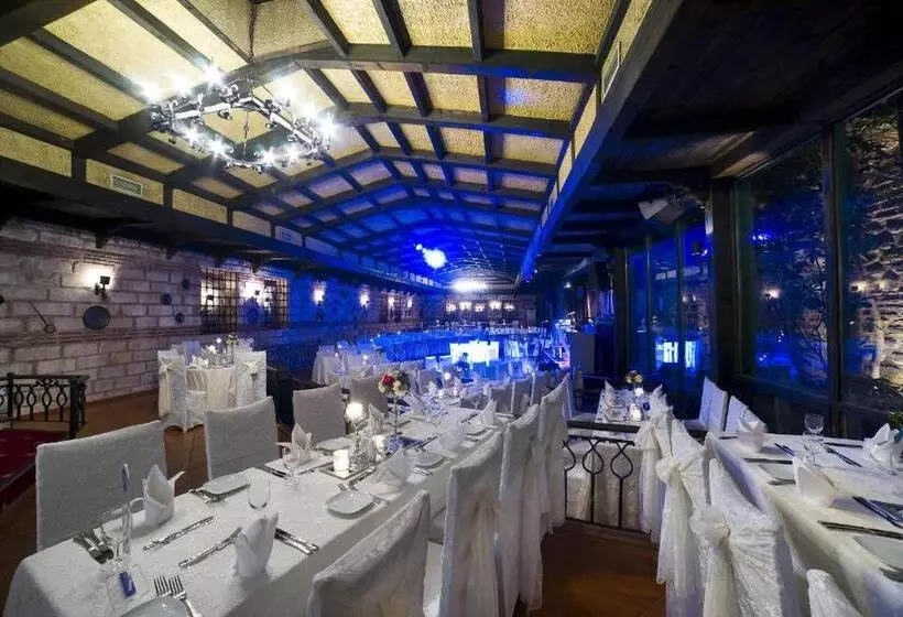 Fotos del hotel Radisson  Istanbul Sultanahmet:  21