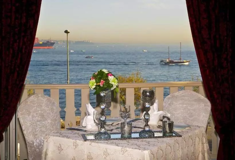 Fotos del hotel Radisson  Istanbul Sultanahmet:  17