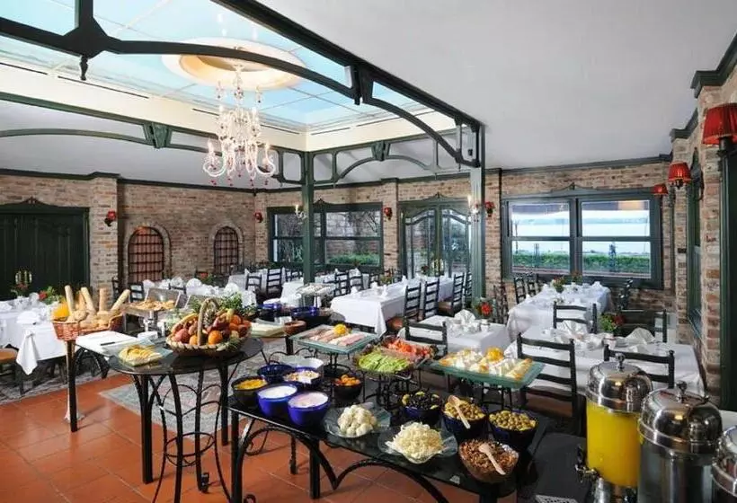 Fotos del hotel Radisson  Istanbul Sultanahmet:  2