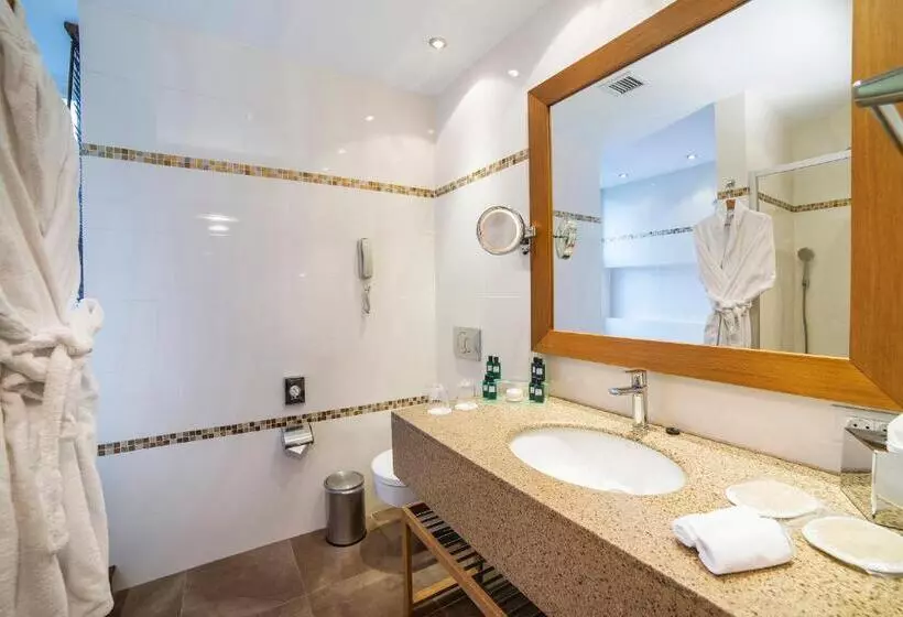 Fotos del hotel Radisson  Istanbul Sultanahmet:  8