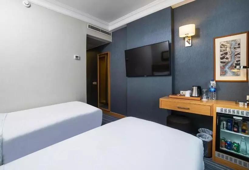 Fotos del hotel Radisson  Istanbul Sultanahmet:  6