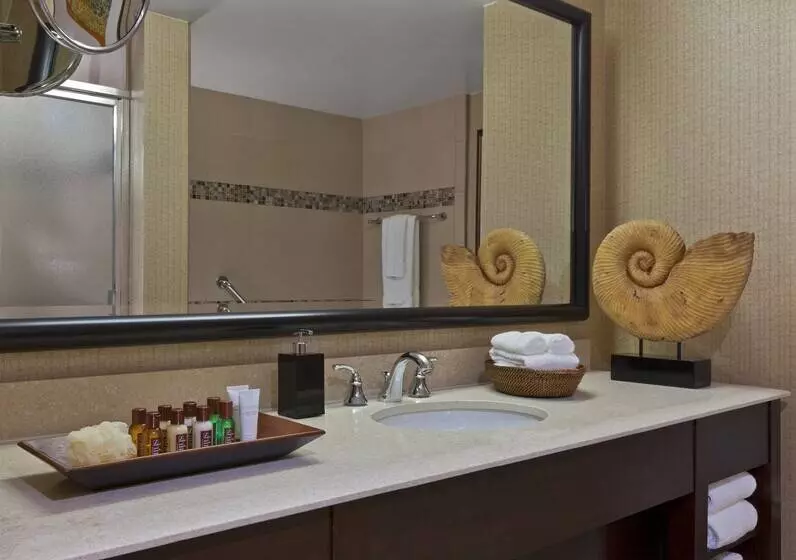 Fotos del hotel Sheraton Dallas:  7