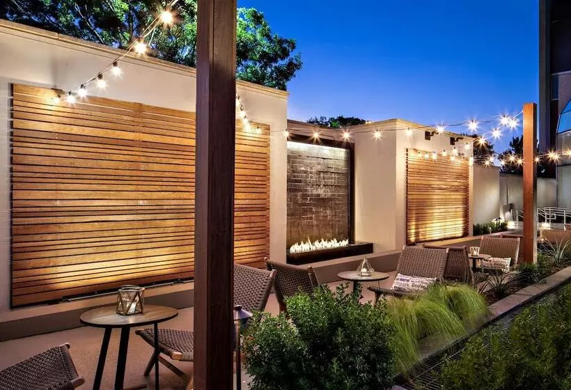 Fotos del hotel Sheraton Dallas:  6