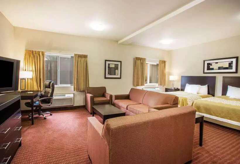 Fotos del hotel Days Inn By Wyndham Seattle Aurora:  12