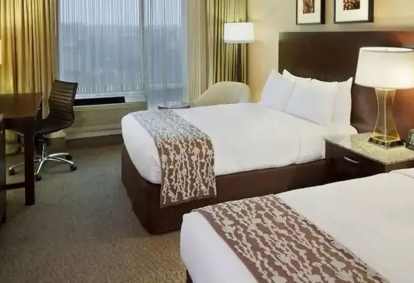 Fotos del hotel Doubletree By Hilton Hotel Boston Bayside:  12