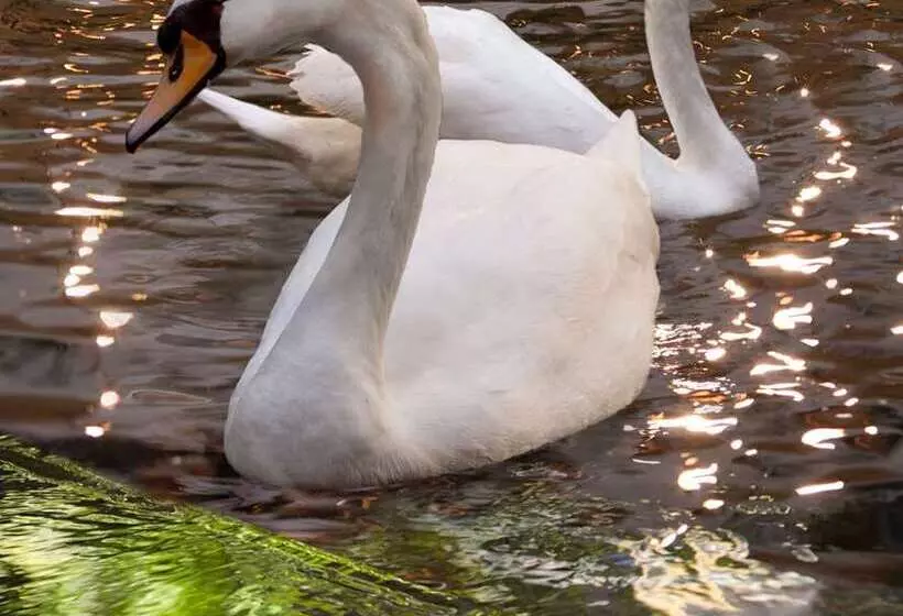 Fotos del hotel Embassy Suites Las Vegas:  8