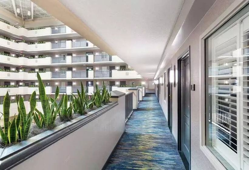 Fotos del hotel Embassy Suites Orlando - Airport:  9