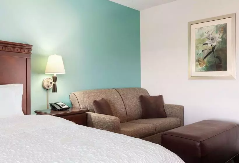 Fotos del hotel Hampton Inn Houston Northwest:  13