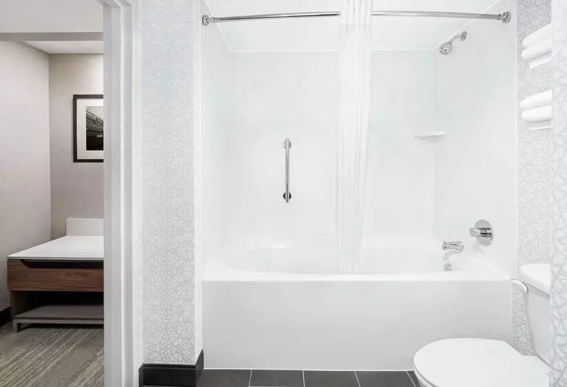 Fotos del hotel Hampton Inn & Suites Chicago-downtown:  12