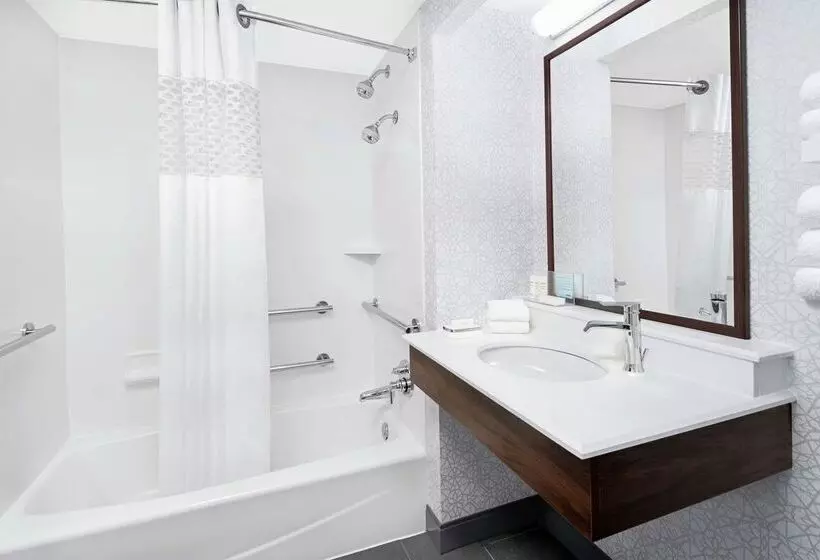 Fotos del hotel Hampton Inn & Suites Chicago-downtown:  6