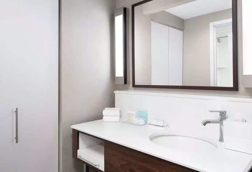 Fotos del hotel Hampton Inn & Suites Chicago-downtown:  14