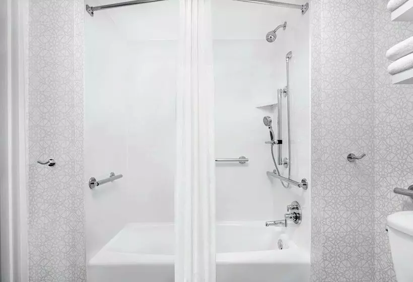 Fotos del hotel Hampton Inn & Suites Chicago-downtown:  9