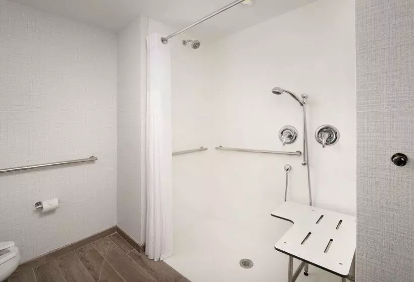 Fotos del hotel Hilton Garden Inn Miami Brickell South:  13