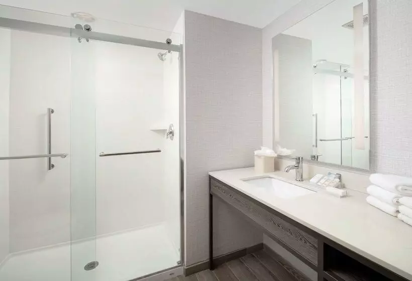 Fotos del hotel Hilton Garden Inn Miami Brickell South:  8