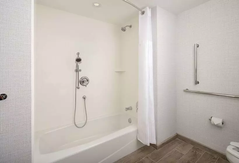 Fotos del hotel Hilton Garden Inn Miami Brickell South:  17