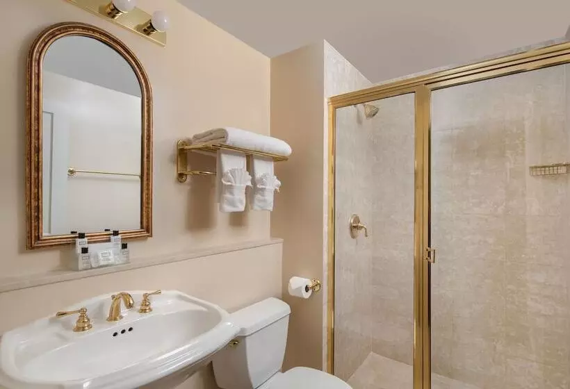 Fotos del hotel The Manhattan Club:  19