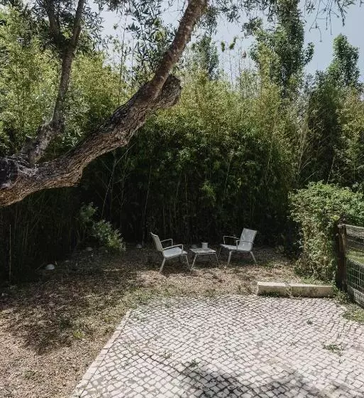 Fotos del hotel Quinta Do Miguel:  19