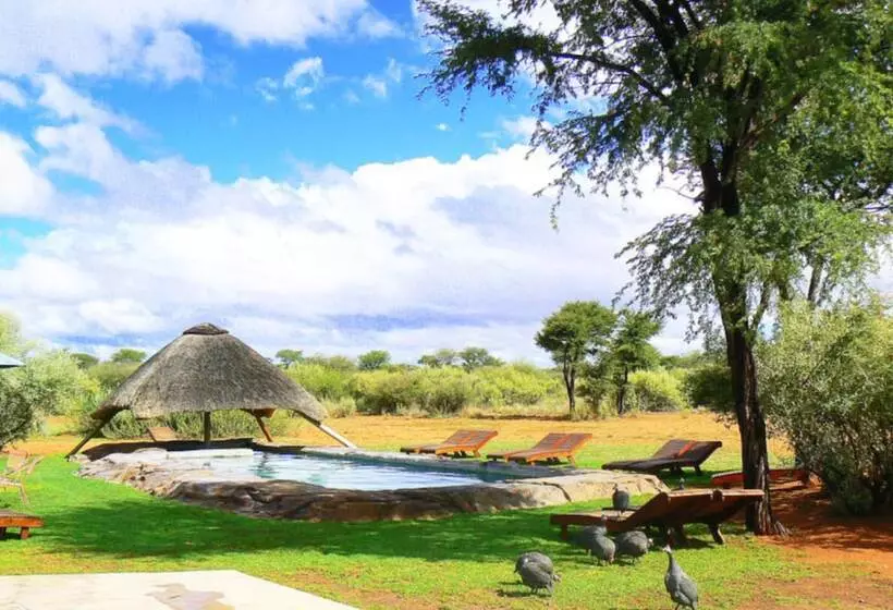 Fotos del hotel West Nest Lodge:  11