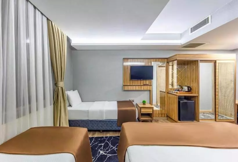 Fotos del hotel Dem Istanbul Airport:  17