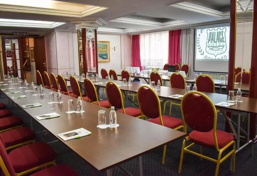 Fotos del hotel Palace:  13