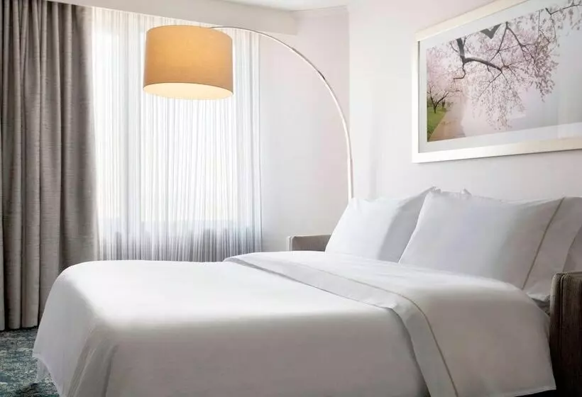 Fotos del hotel The Westin Washington, D.c. City Center:  21