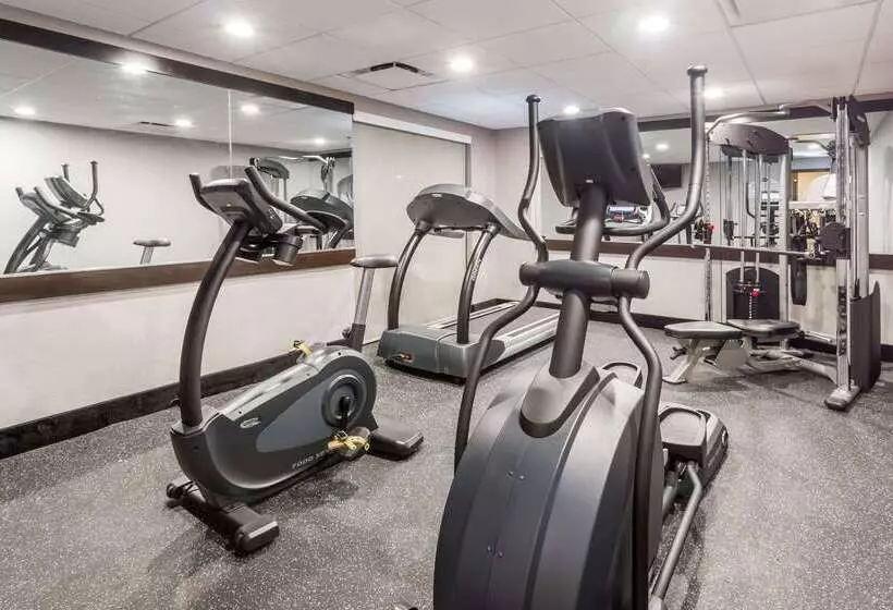 Fotos del hotel Wingate By Wyndham - Universal Studios And Convention Center:  5