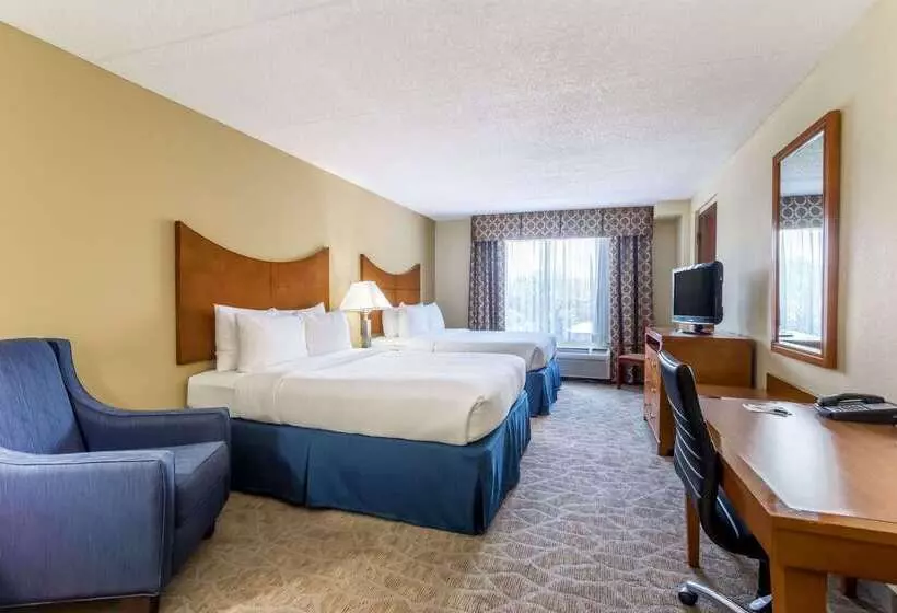 Fotos del hotel Wingate By Wyndham - Universal Studios And Convention Center:  18