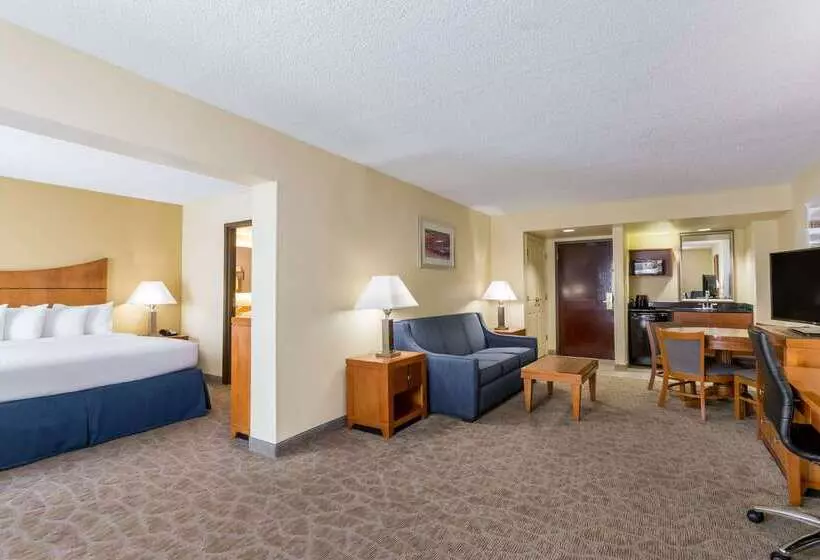 Fotos del hotel Wingate By Wyndham - Universal Studios And Convention Center:  19