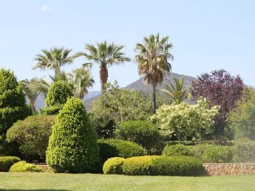 Fotos del hotel Reads Balance Hotel:  13