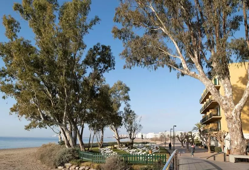 Fotos del hotel Roses Platja:  18