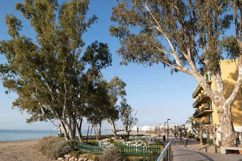 Fotos del hotel Roses Platja:  24