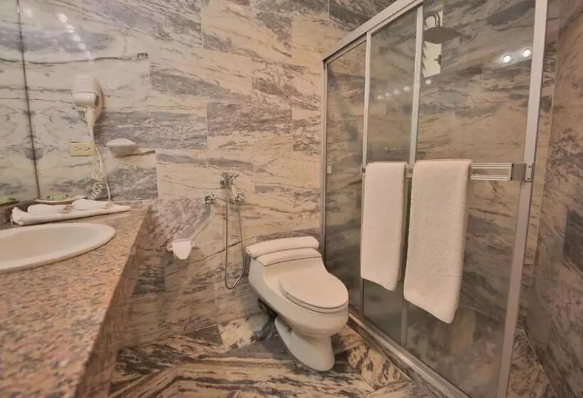 Fotos del hotel Torres De Alba Hotel & Suites:  7