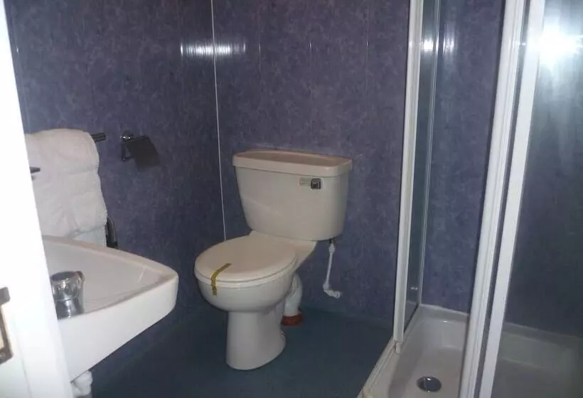 Fotos del hotel Ansteys Lea:  8