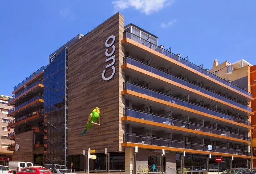 Fotos del hotel Cuco:  15