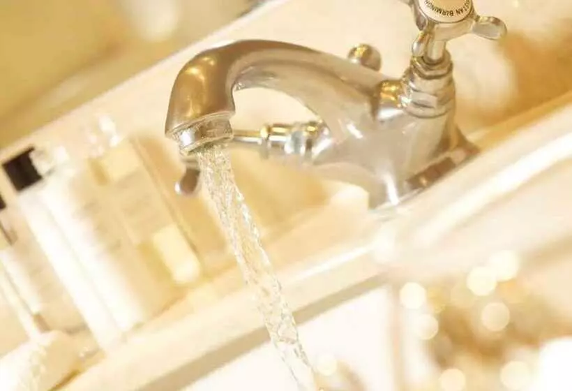 Fotos del hotel The Windsor Town House:  9