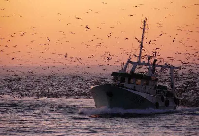 Fotos del hotel Mare:  12