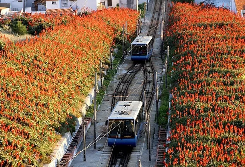 Fotos del hotel Mare:  20