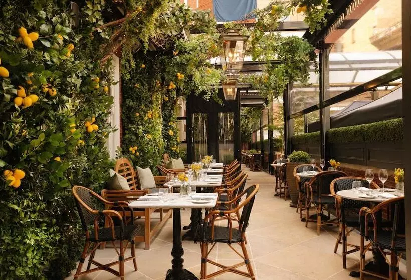 Fotos del hotel The Bloomsbury:  19