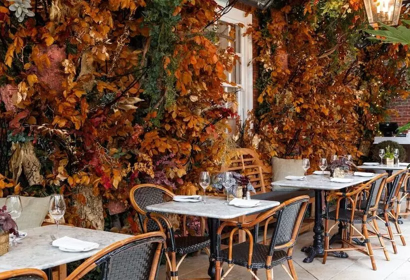 Fotos del hotel The Bloomsbury:  22