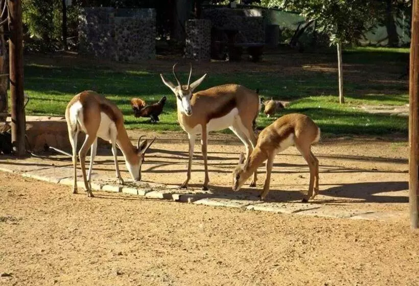 Fotos del hotel Oasis Country Lodge:  20