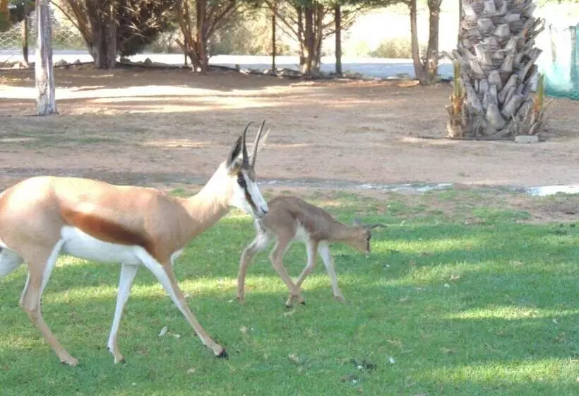 Fotos del hotel Oasis Country Lodge:  7