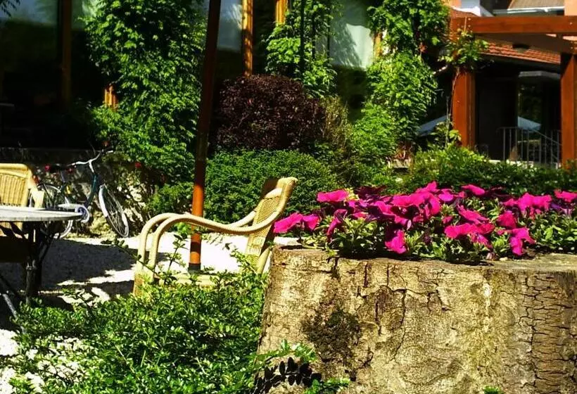 Fotos del hotel Churrut:  4