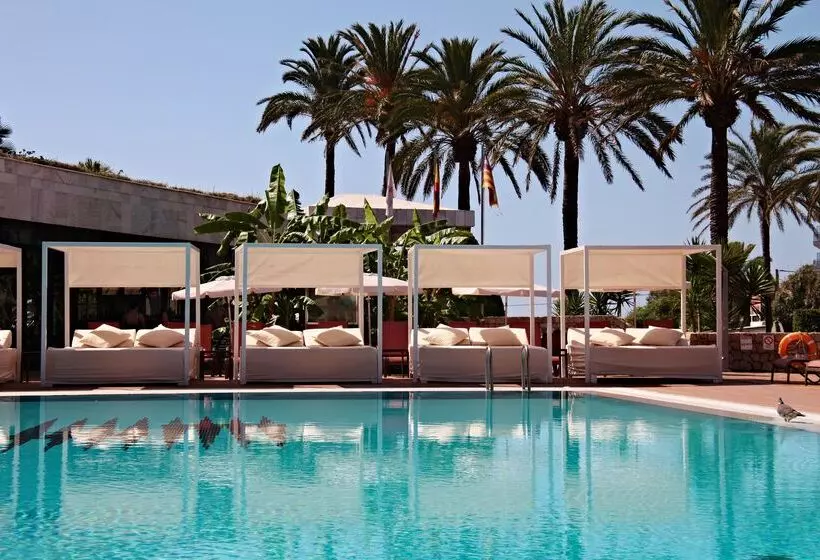 Fotos del hotel Serrano Palace:  7