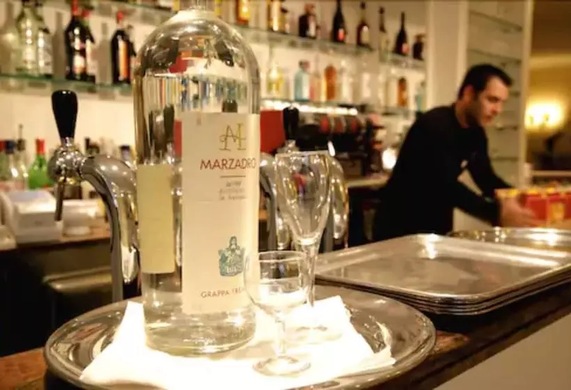 Fotos del hotel Ambassador-monaco:  5